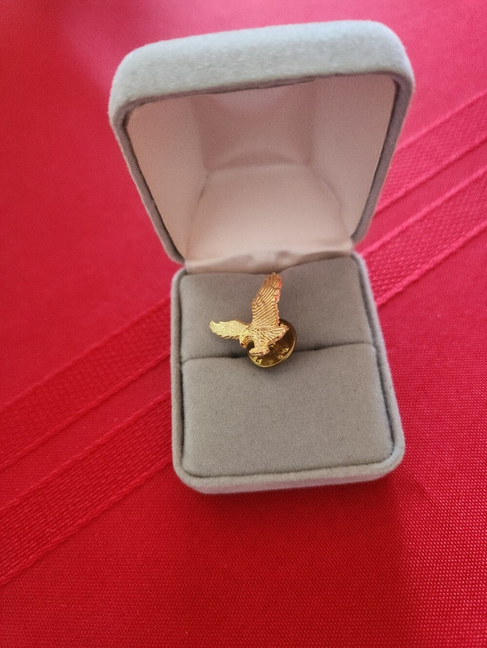 Gold Eagle Brooch on Red Background